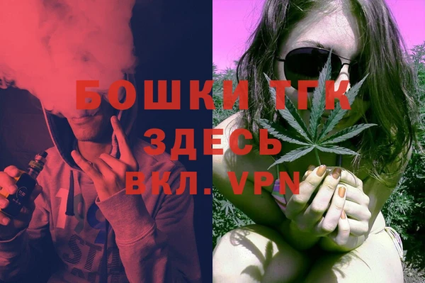 твердый Михайловск