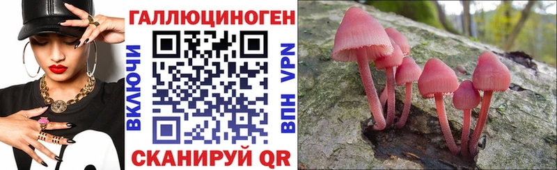 Галлюциногенные грибы прущие грибы Трубчевск